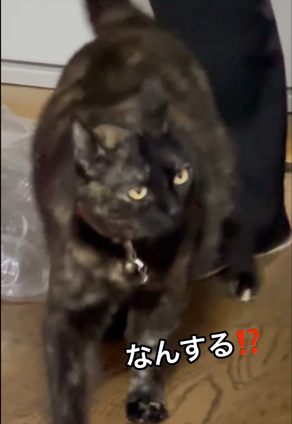 @聴々物語PROJECT