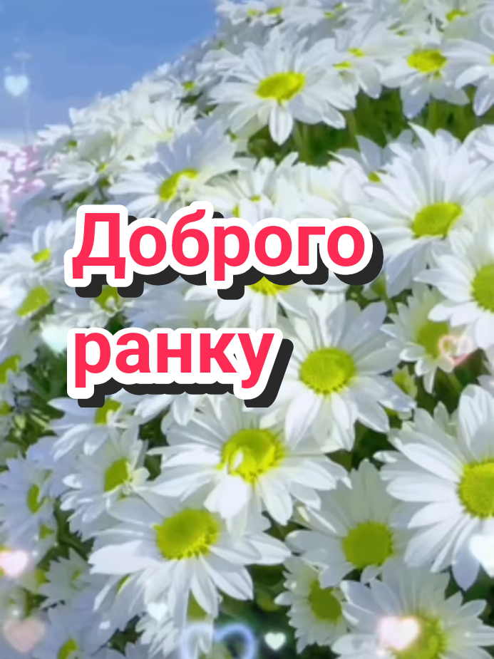 @🌹 𝐋𝐚𝐫𝐢𝐬𝐚 🌹