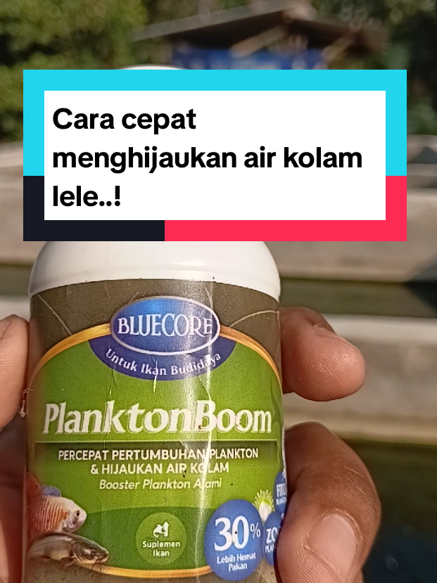 @Kang_Ewi