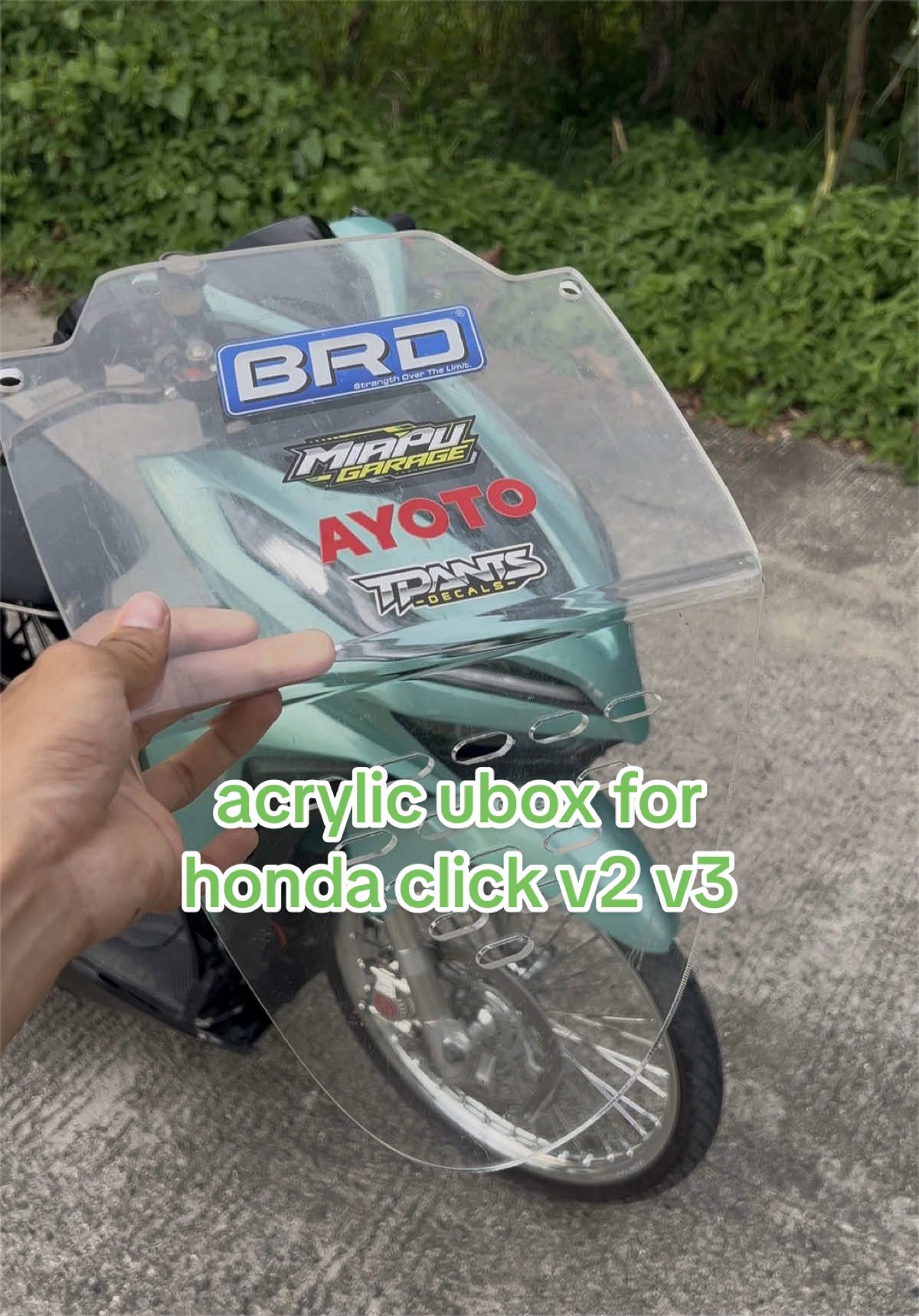 @Sexygreen🇹🇭