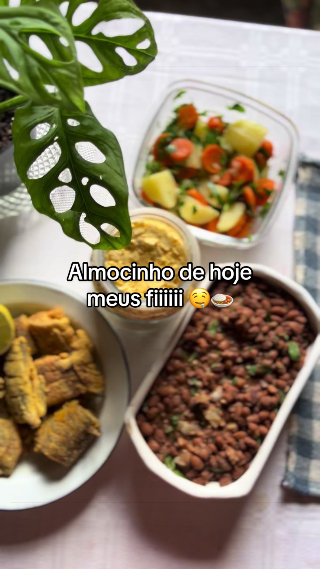 @vida_breve