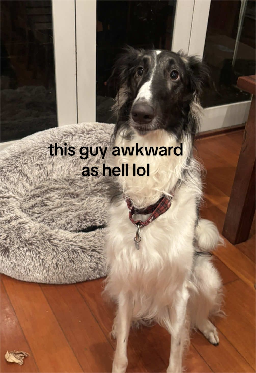 @molly 😤