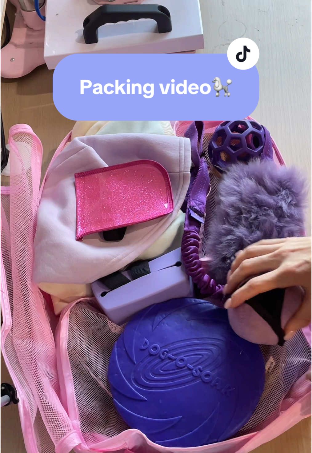 @pandorasboxofdogs