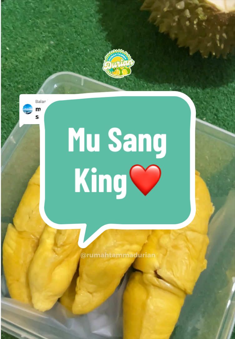 @Rumah Tamma Durian