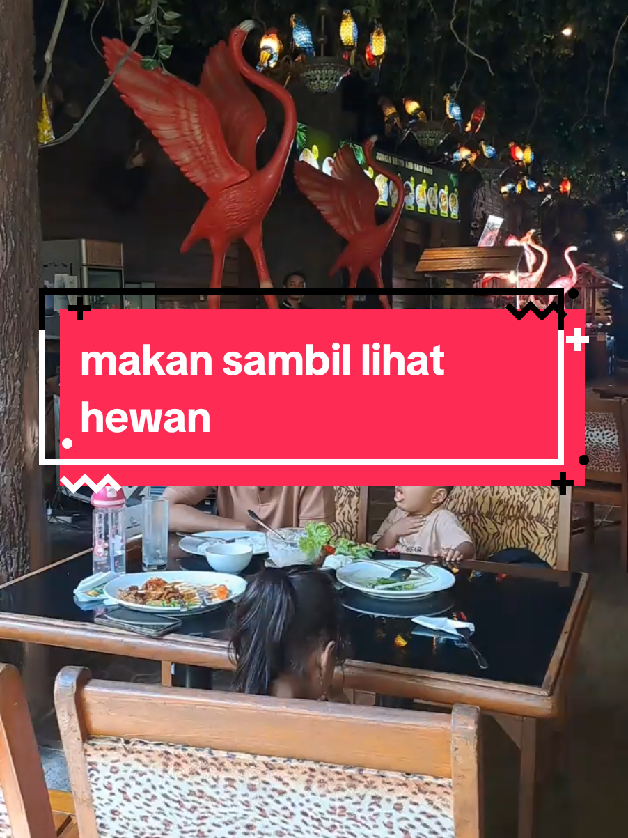 @rauri