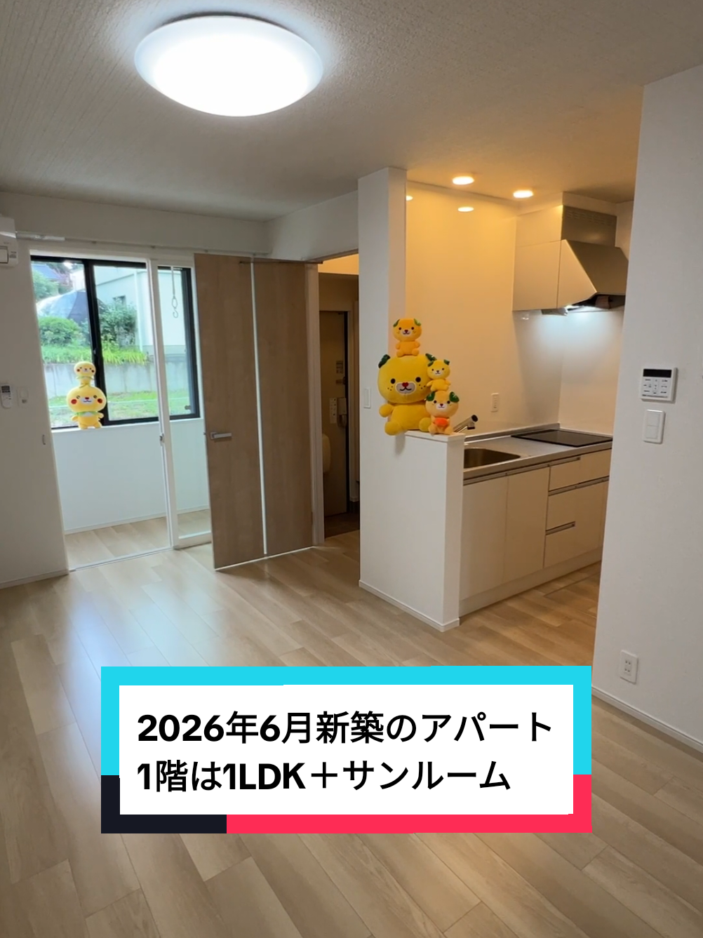 @賃貸ルームツアー♪松山市と今治市みかん不動産