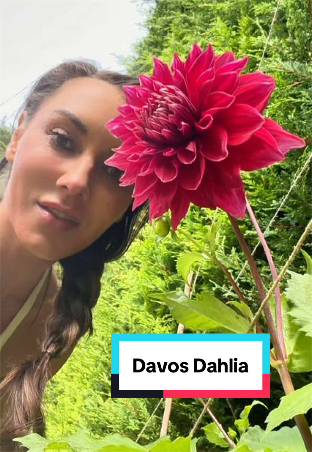 @Ava Dahlia 🇨🇦👩&zwj;🌾✌️