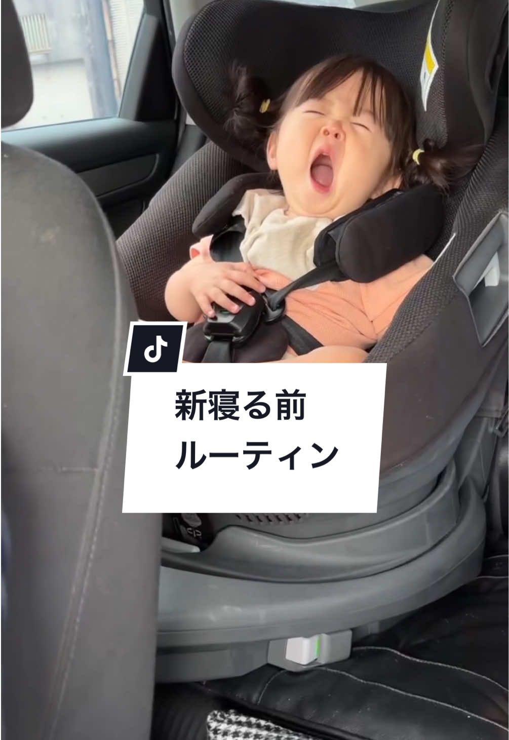 @さらパパ