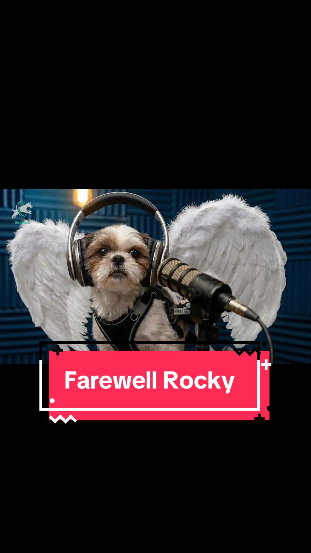 @DogPack