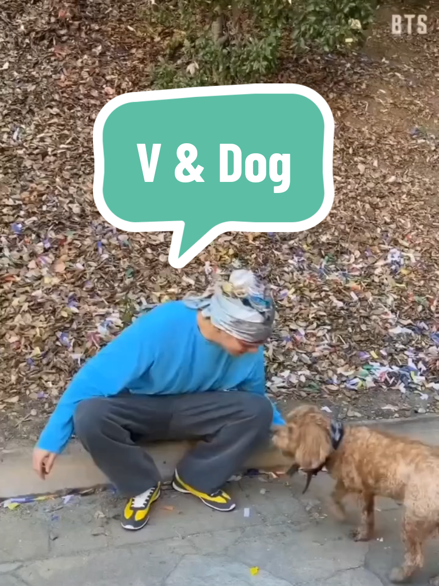 @SunShibubu