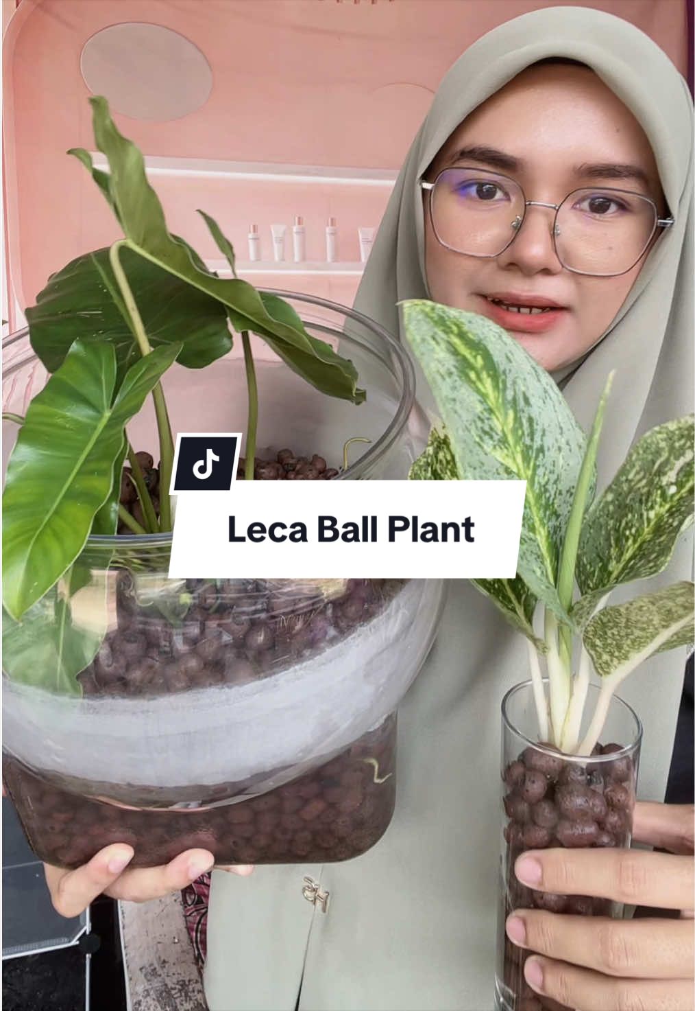 @Ayu_Faith 🌷