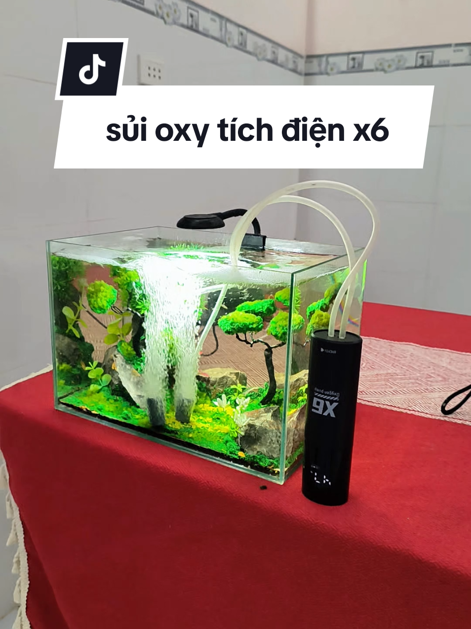 @Ngắm Cá Online