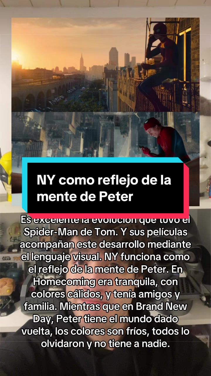 @tomybelluzzo 🕷