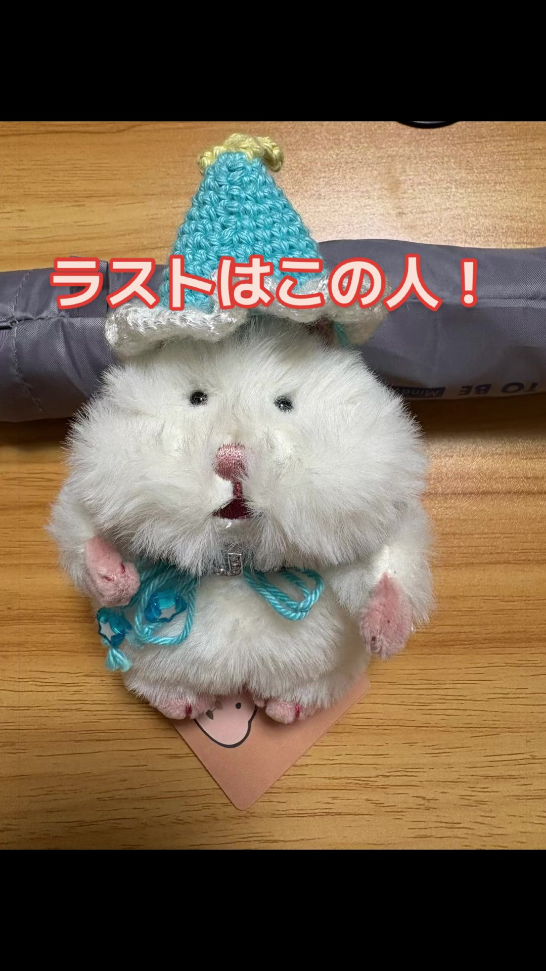 @はむにぎるね🌙
