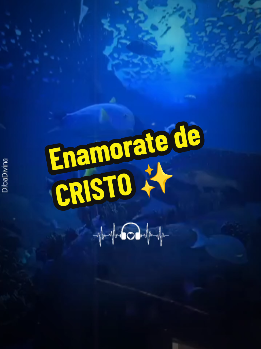 @Amor, Resiliencia y Fe