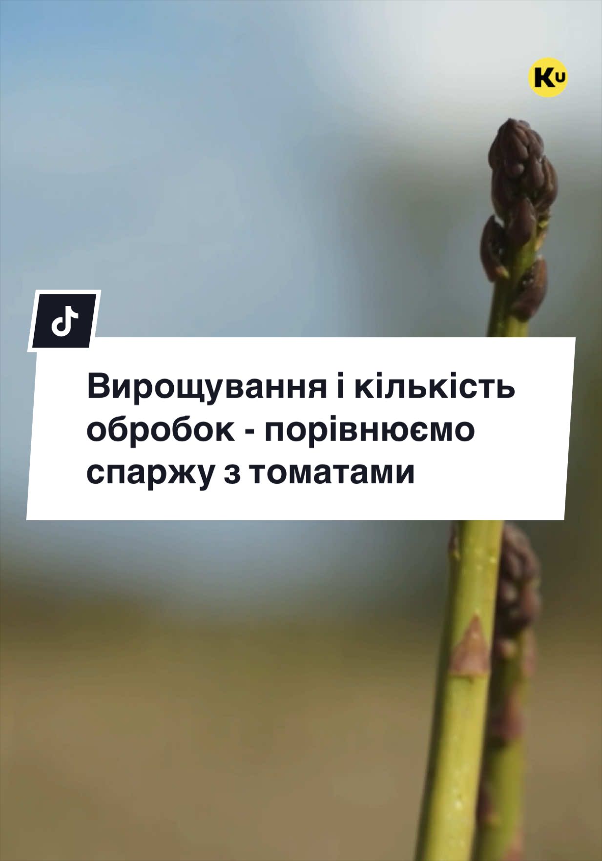 @Ku 🟨🟩 Lati – Agro Ukraine