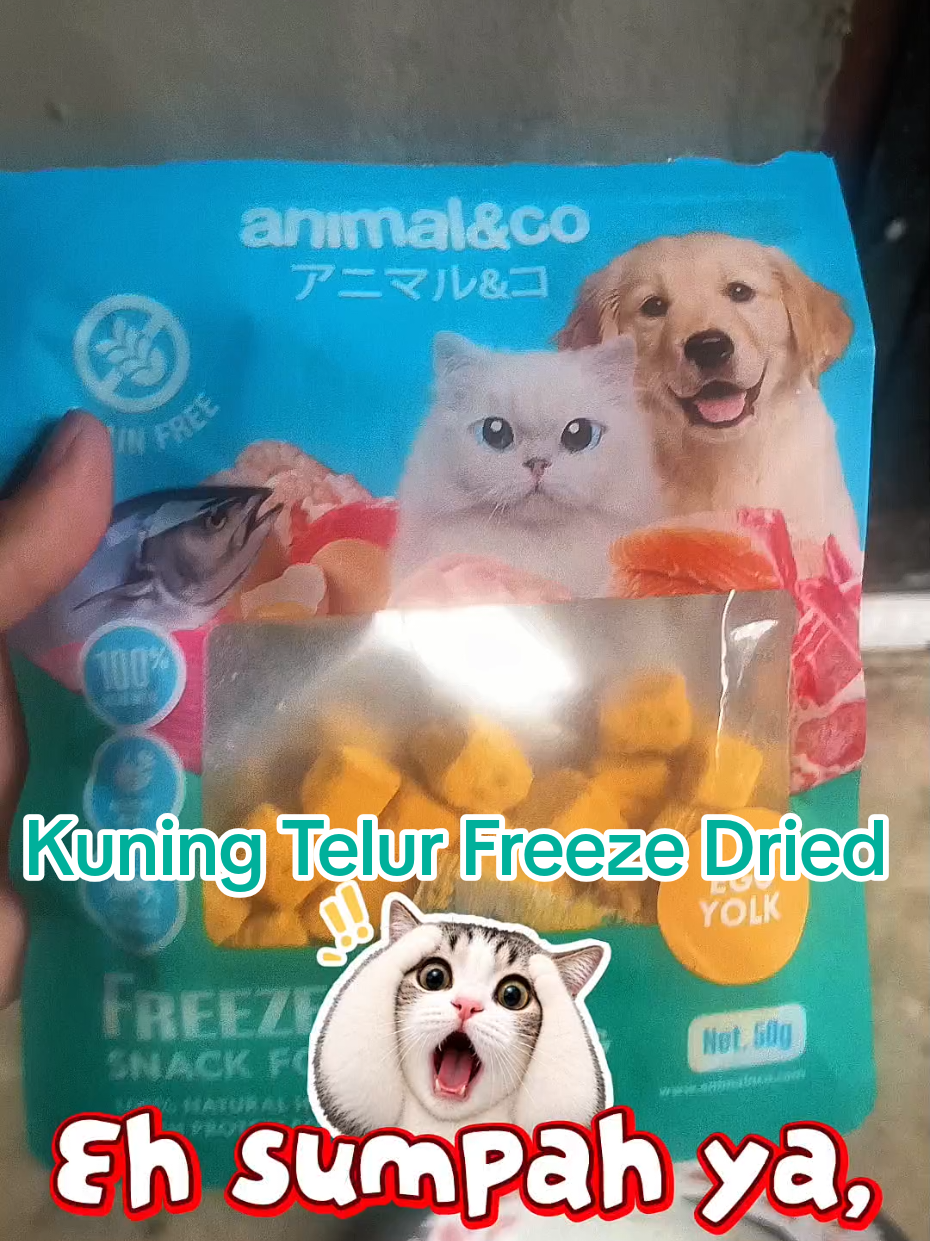 @Medayo Petcare
