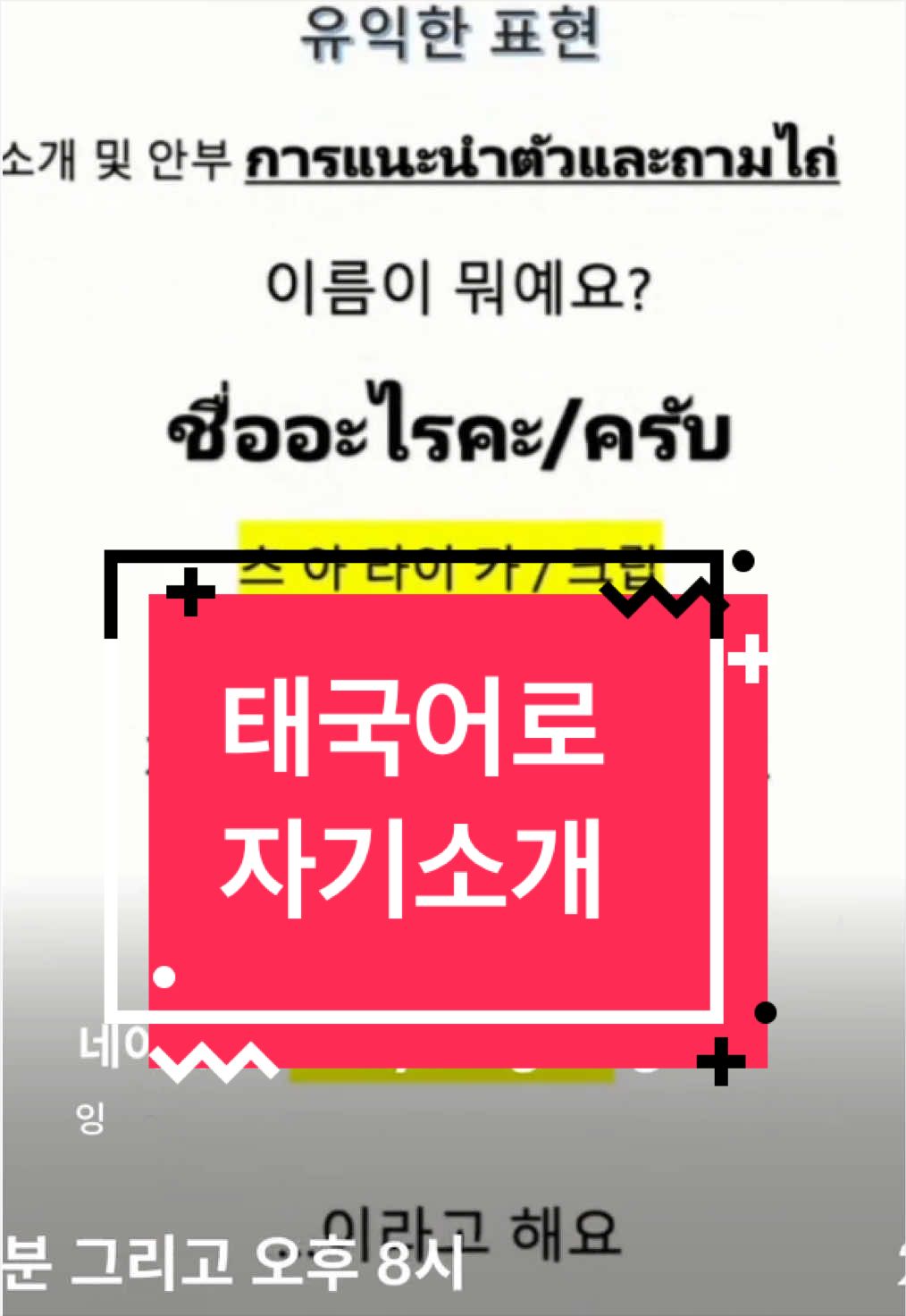 @Youngining TV