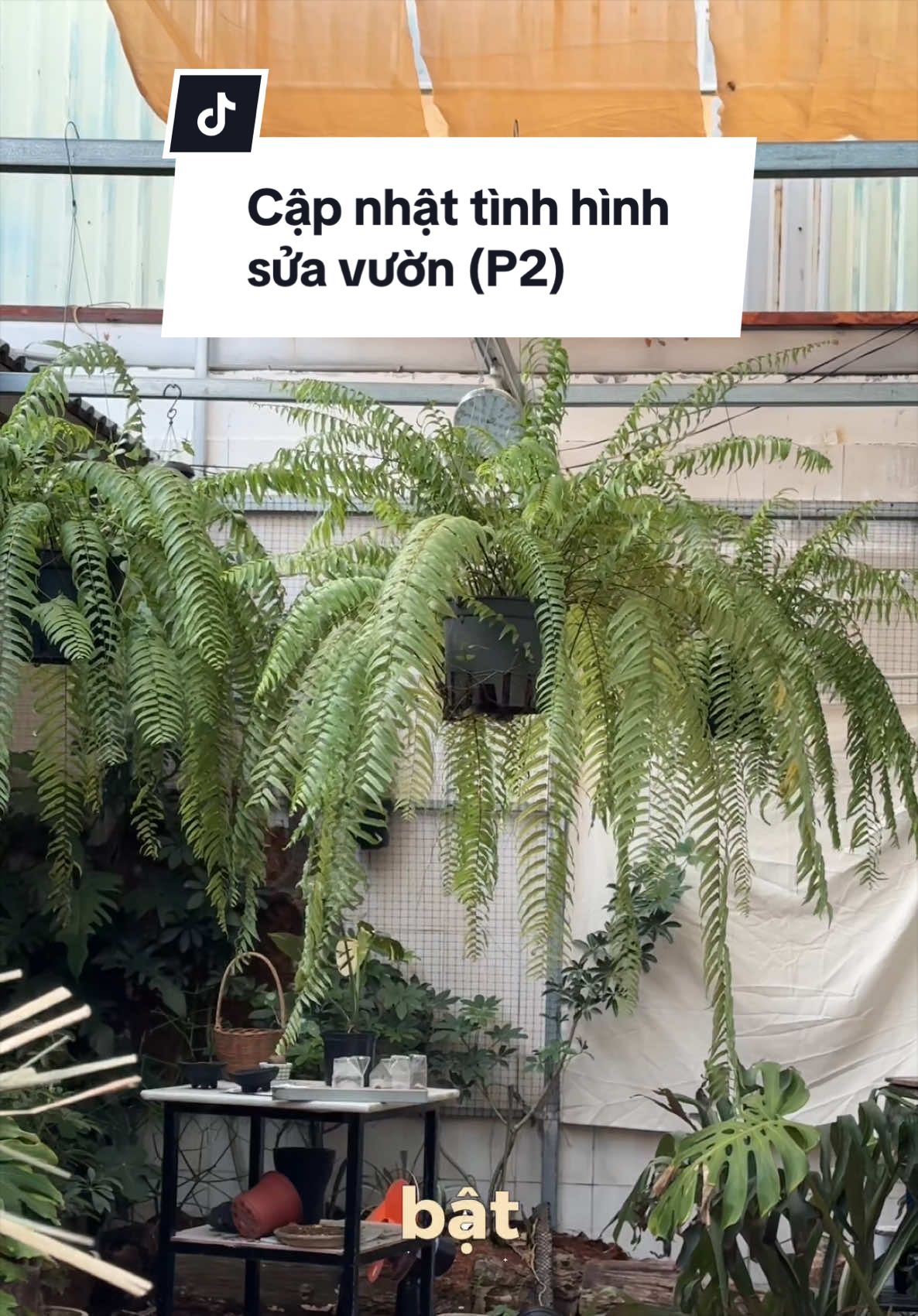 @Vuoncuakien