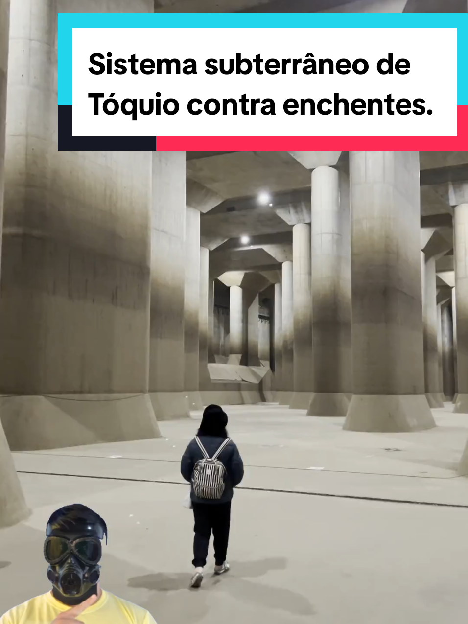@Mundo da Curiosidades