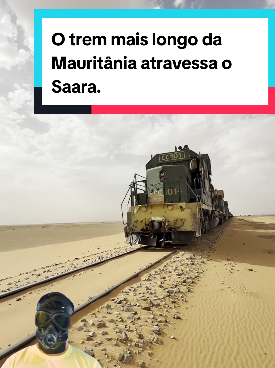 @Mundo da Curiosidades