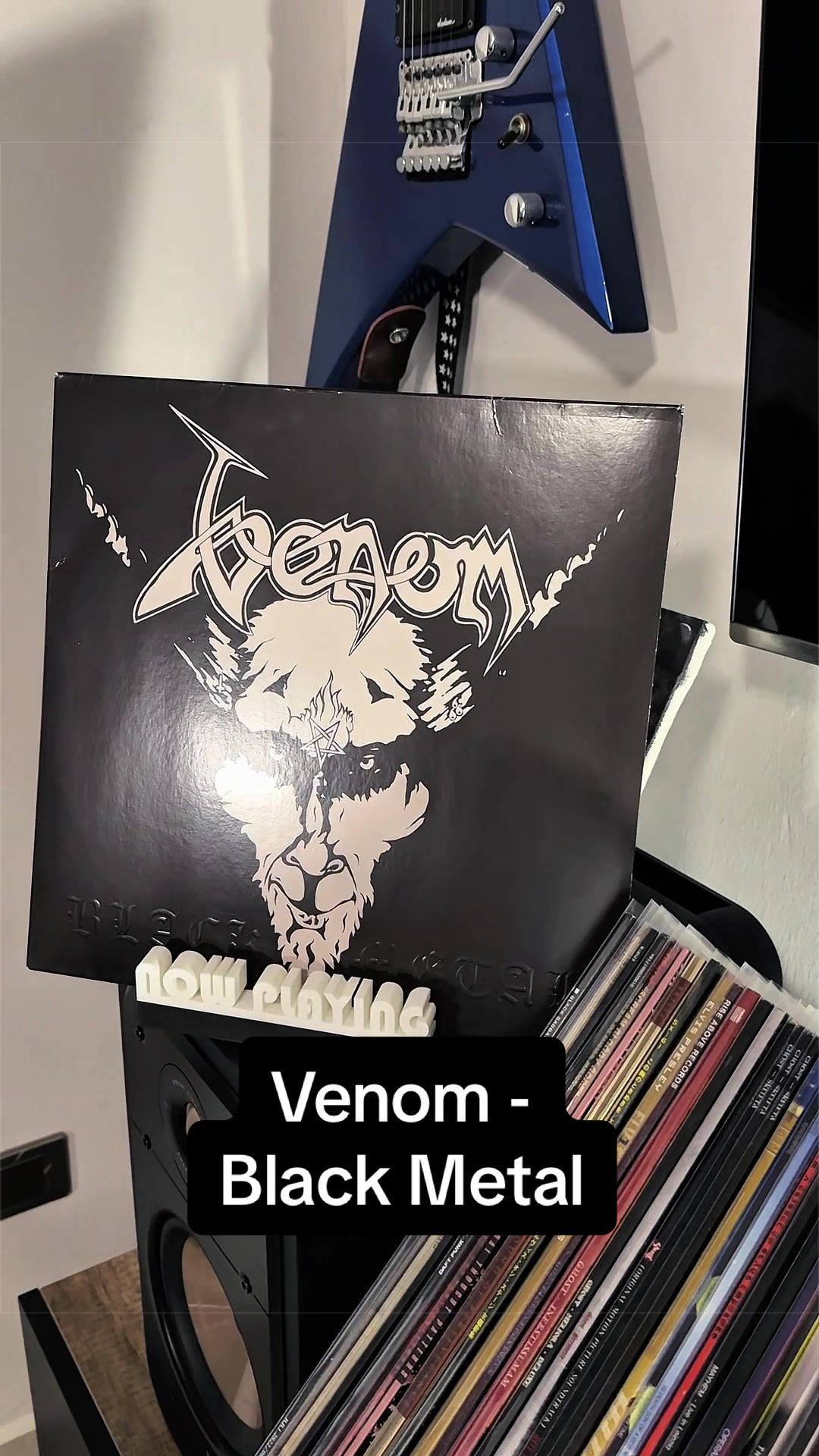 @Undying Vinyl
