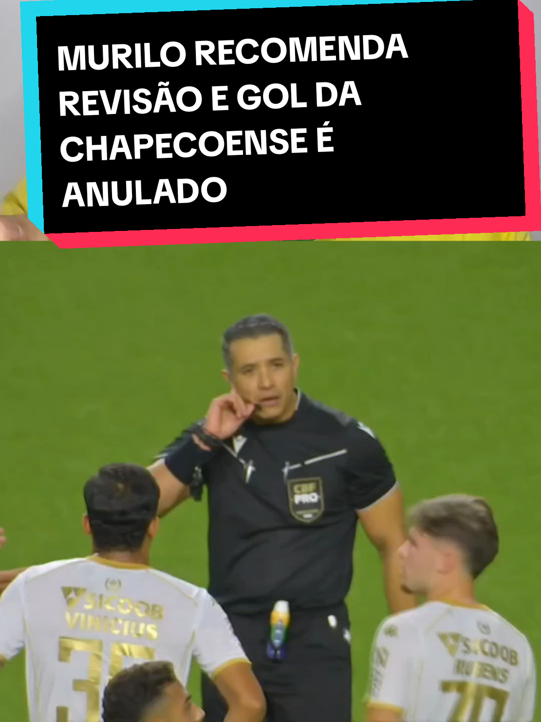 @analistaleigo