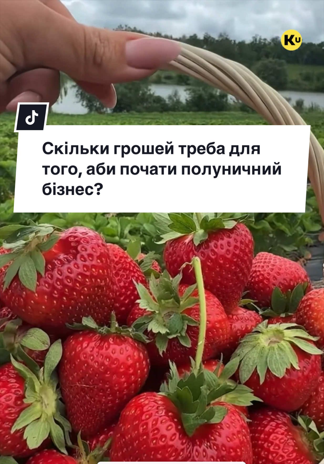 @Ku 🟨🟩 Lati &ndash; Agro Ukraine