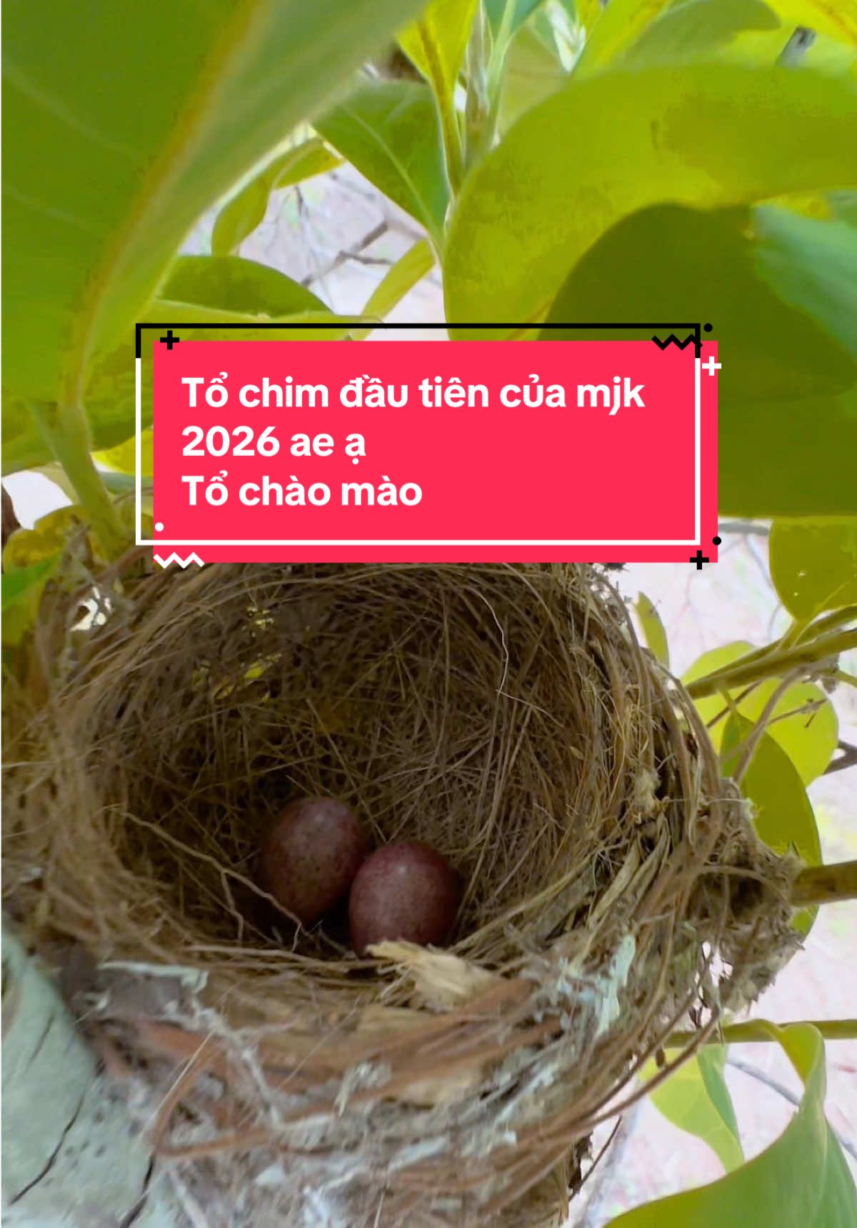 @C&C Miền N&uacute;i ⛰️
