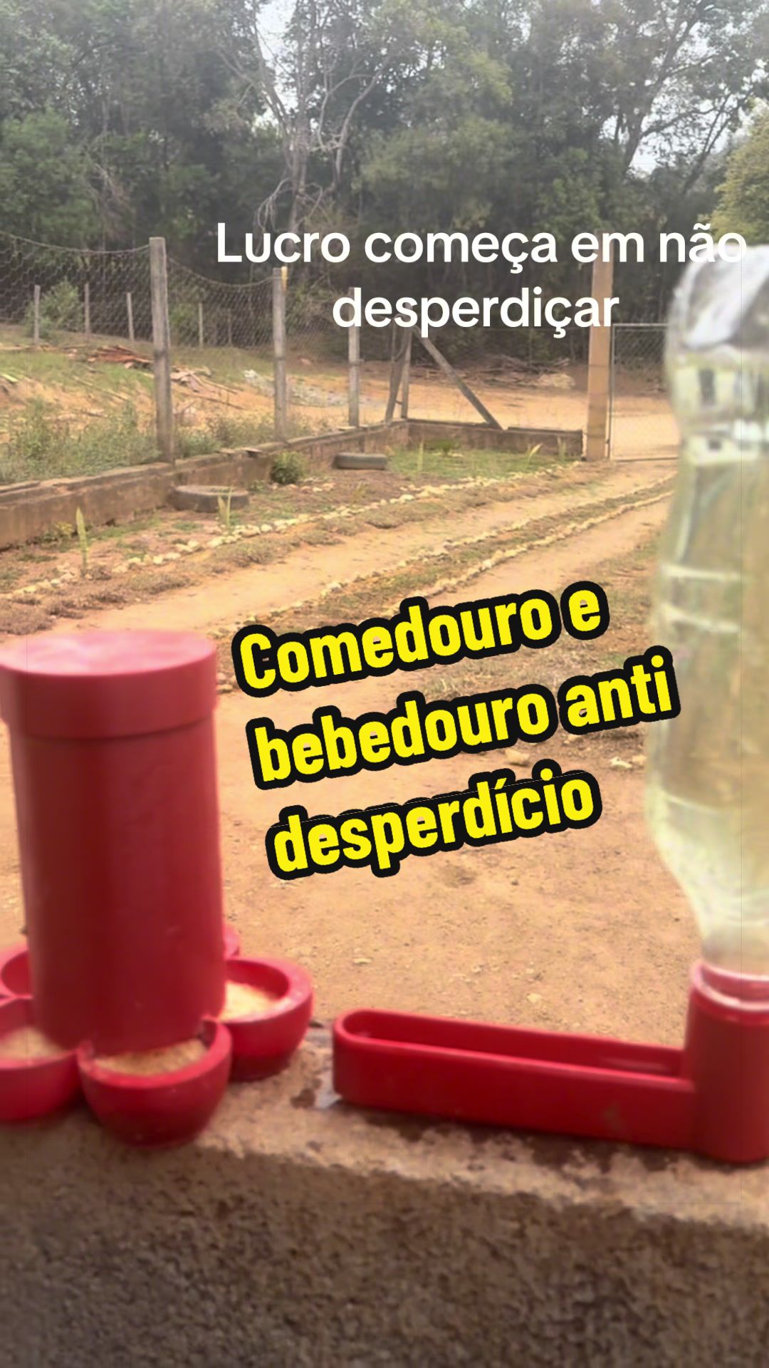 @Silvana Franco /vida na roça