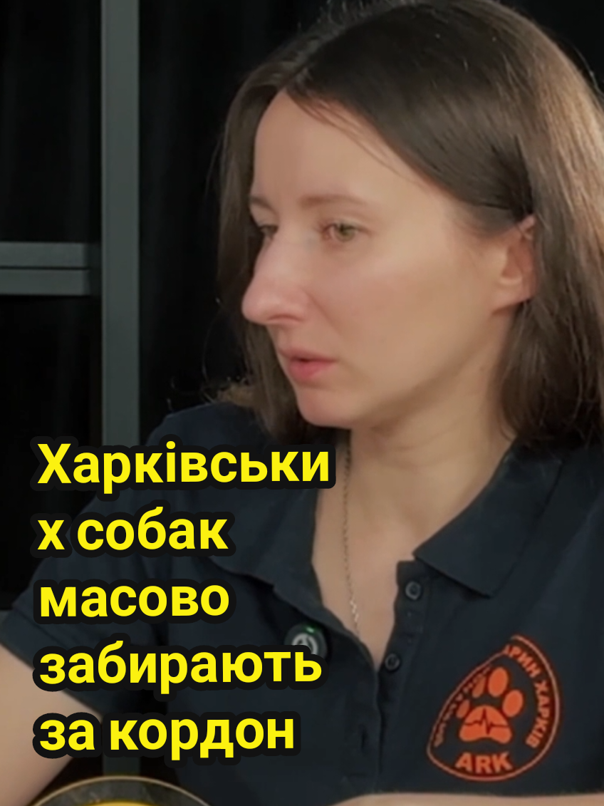 @dumka.media