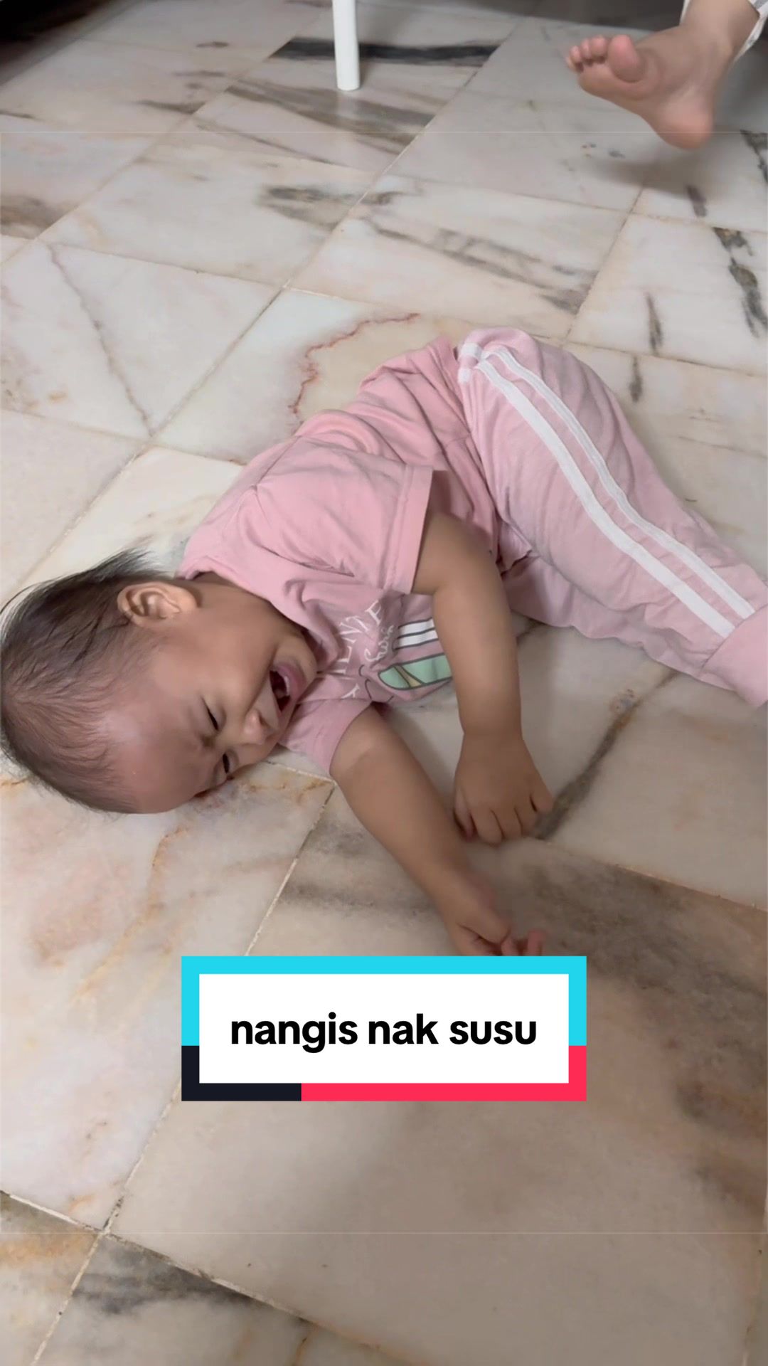@๐๐๐ค๐ช๐๐ ๐๐๐ ๐จ แต แดฅ แต