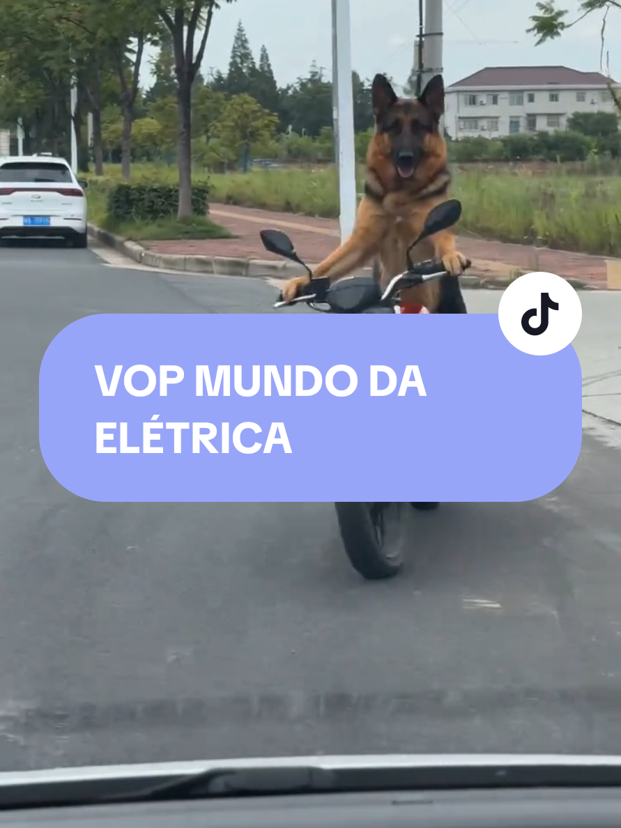 @VOP MUNDO DA EL&Eacute;TRICA Valdinei