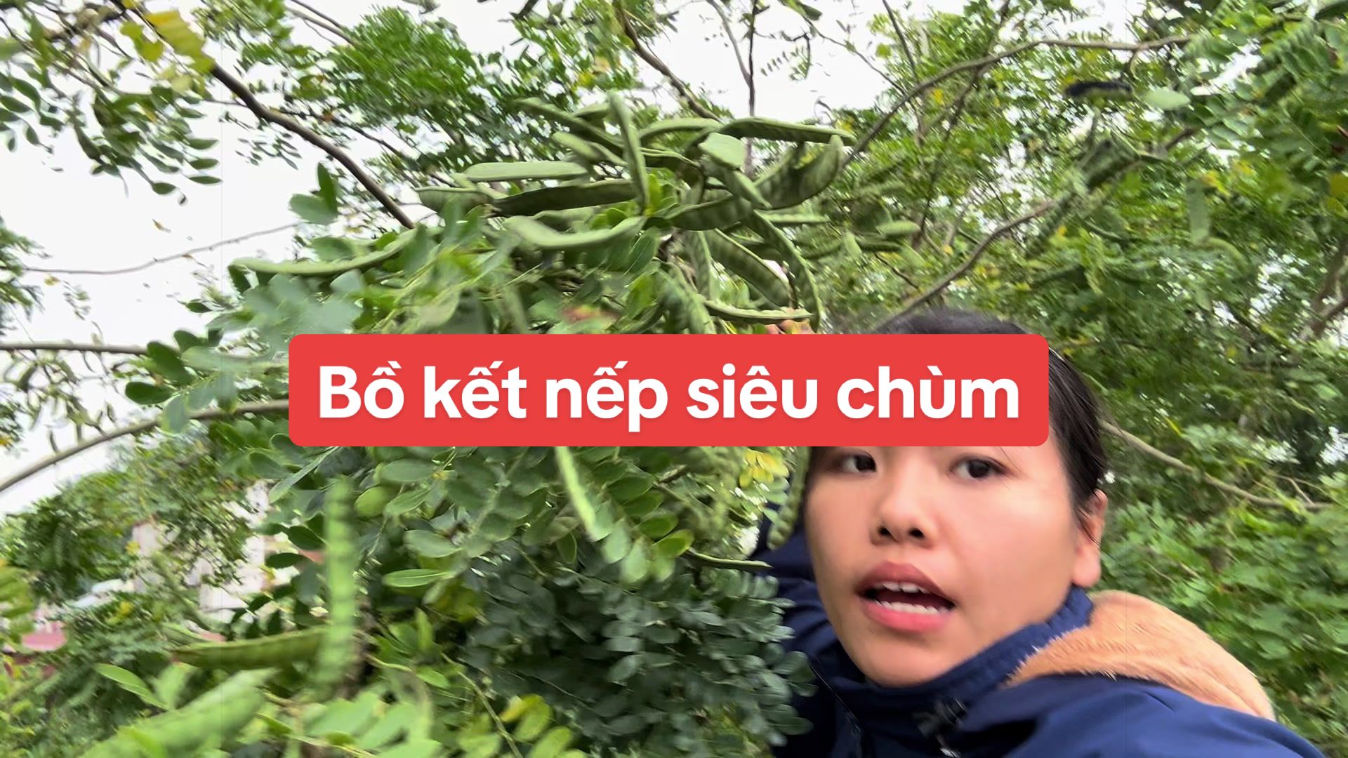 @Nh&agrave; Vườn Vũ Mai