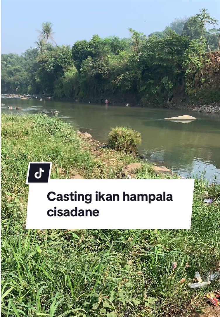 @Bang Fajri 🎣