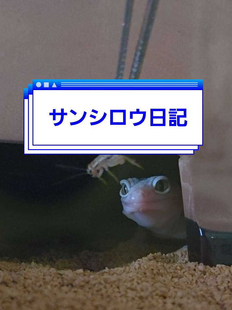 @☆HIP95mai☆
