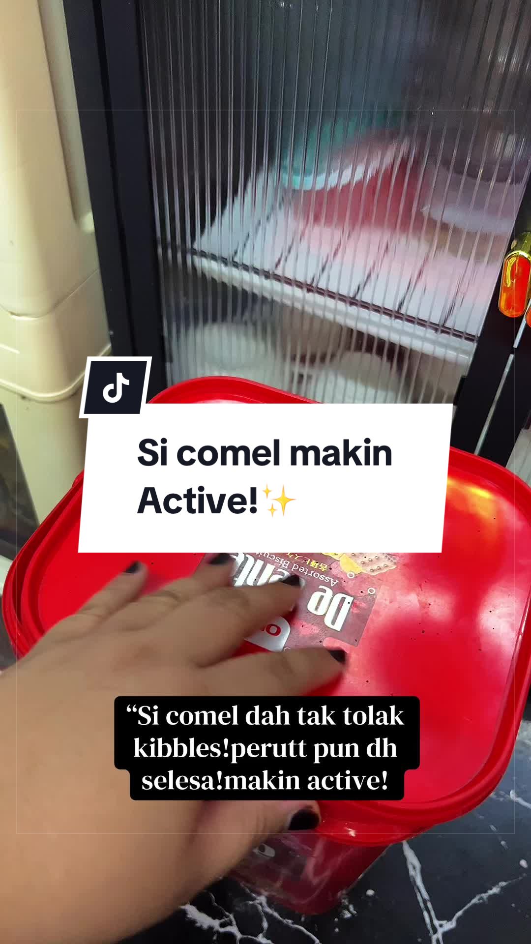 @TINI SHAHA