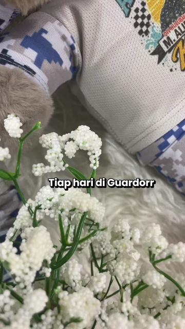 @guardorrr