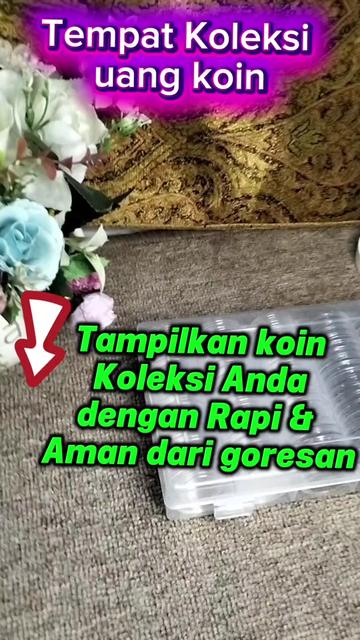 @linaamik55