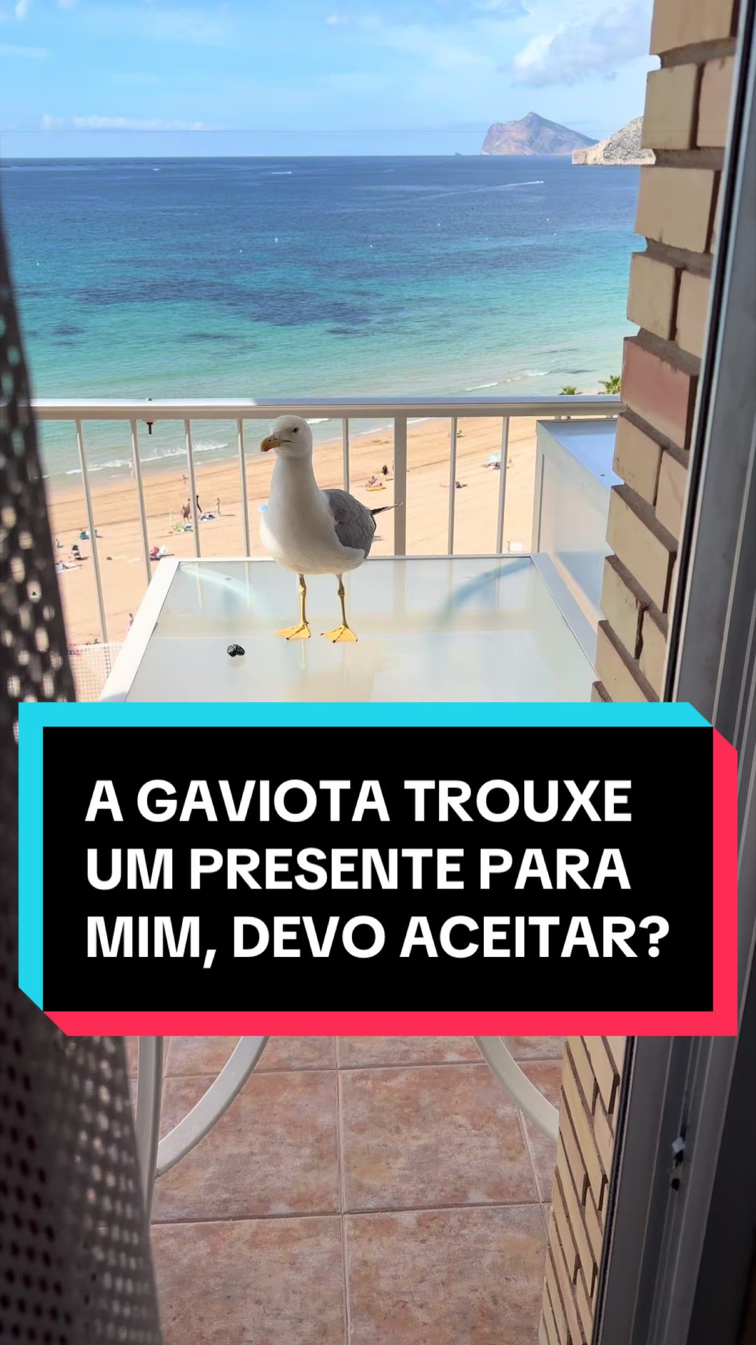 @Shayla Sandes 🇧🇷🇪🇸