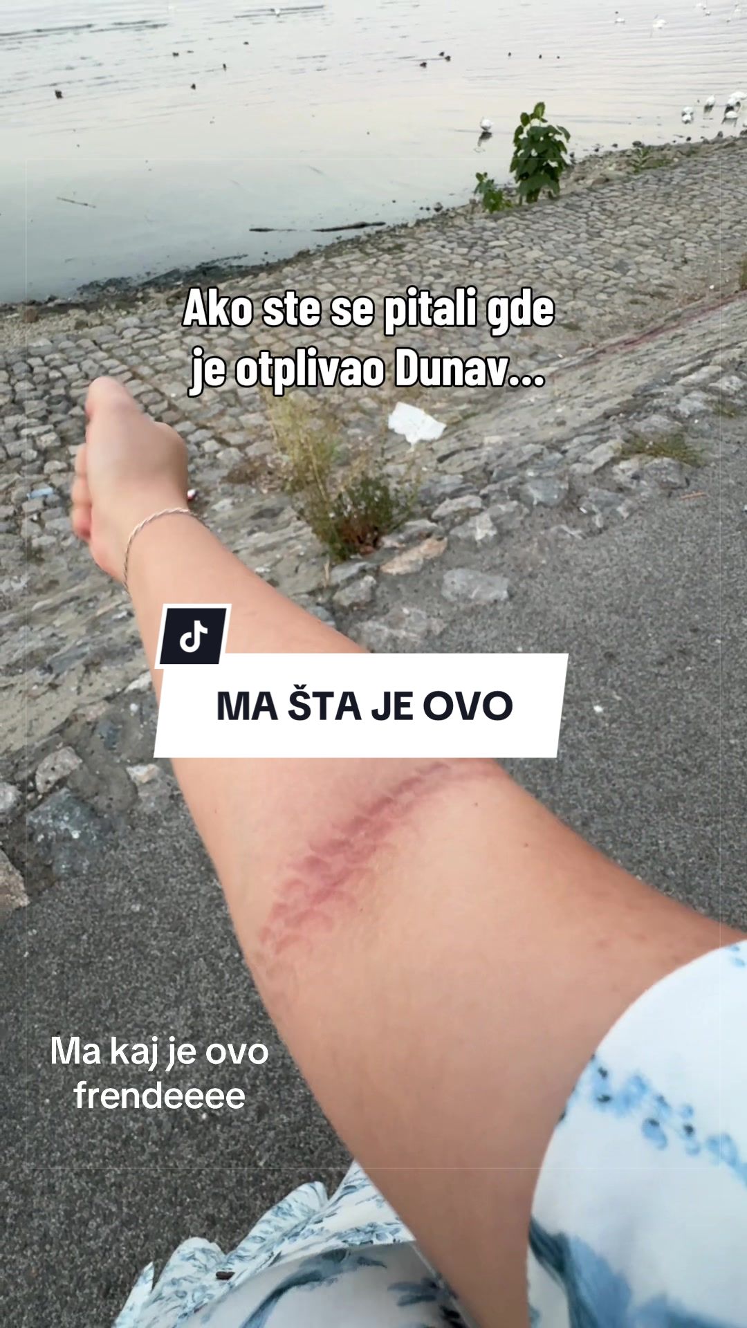 @DacaMagic 👑