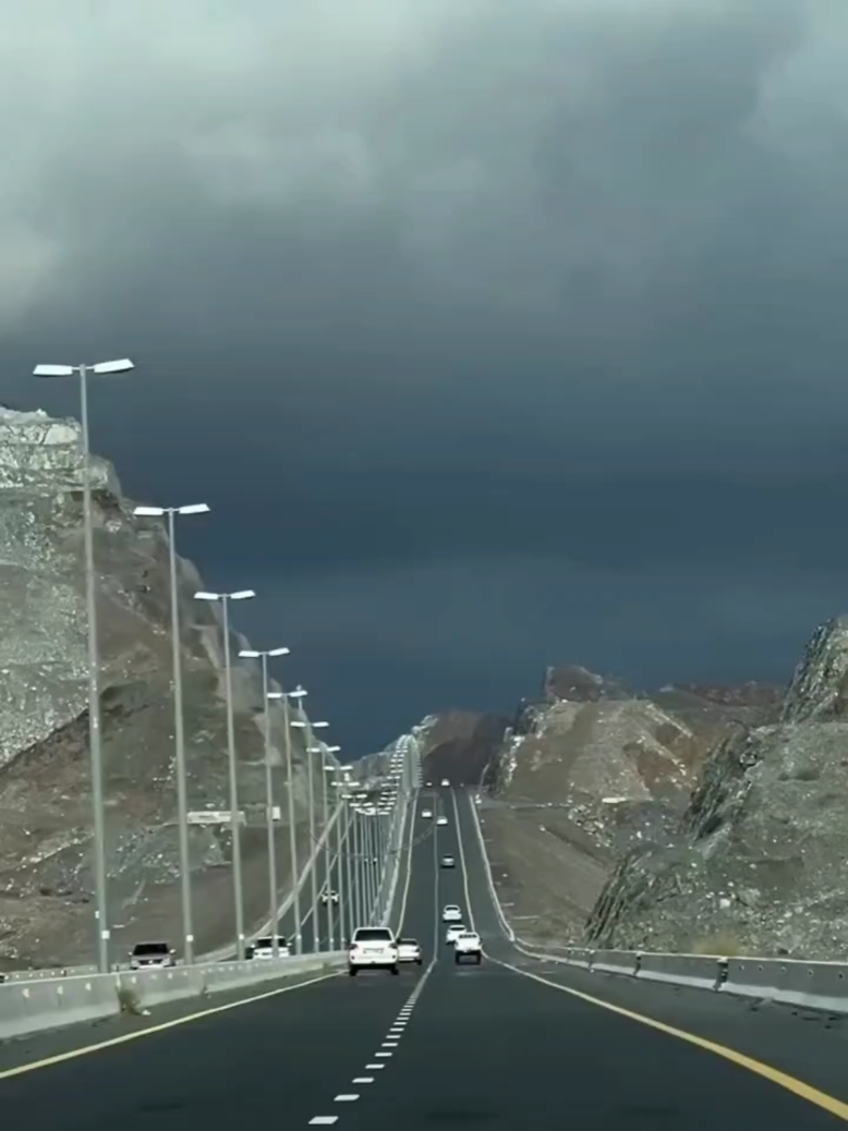 @gelincik İlahi Diyarı 🎶