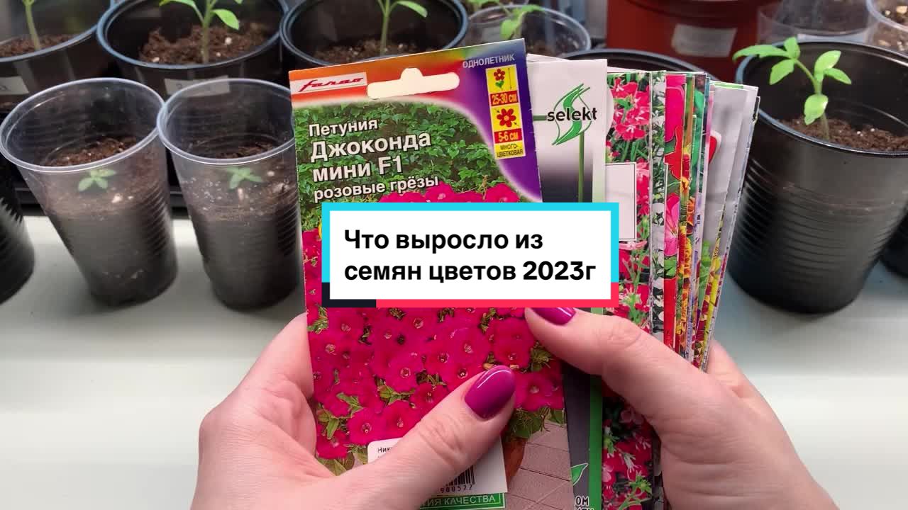 @Nina Letovsemusvetu