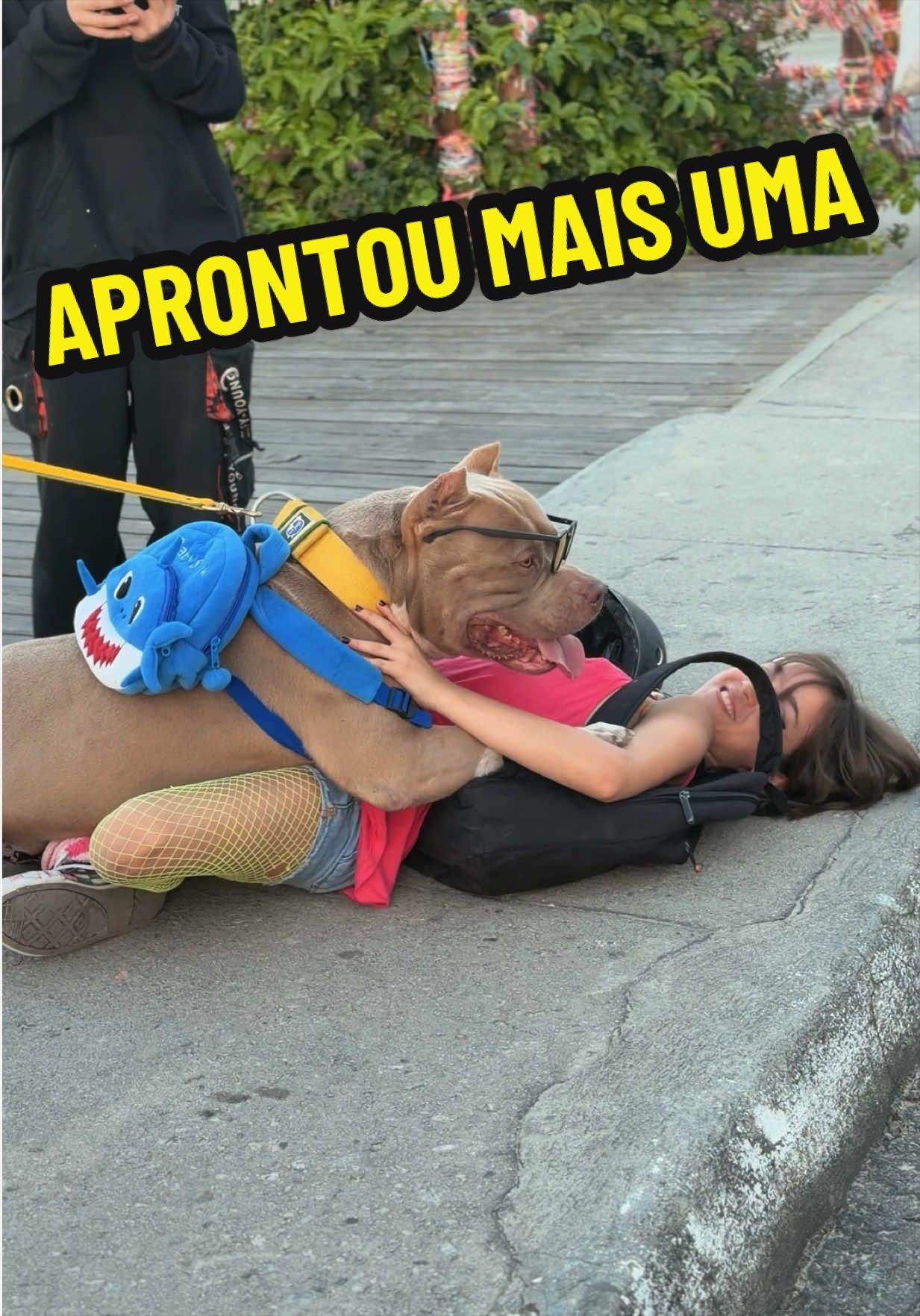 @Família Ragnar 🐶