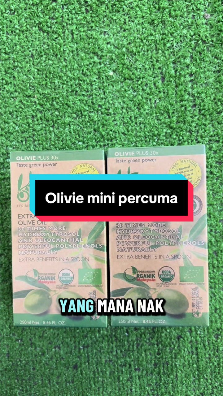 @Olive House BS