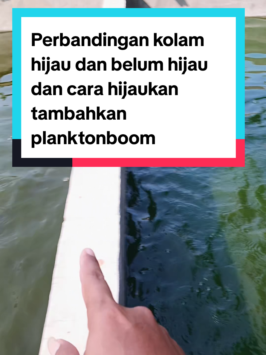 @Kang_Ewi