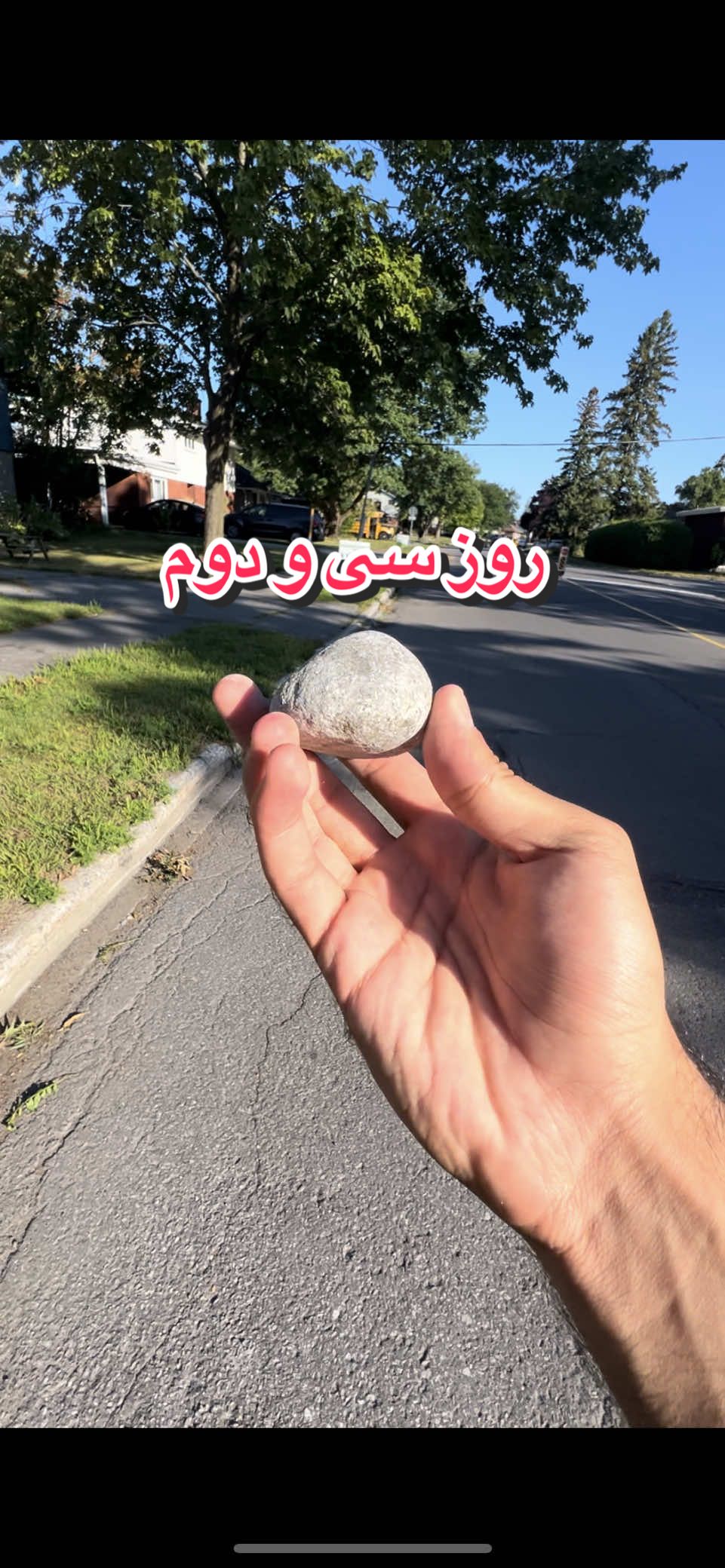 @قلی | یه حیوون خونگی متفاوت