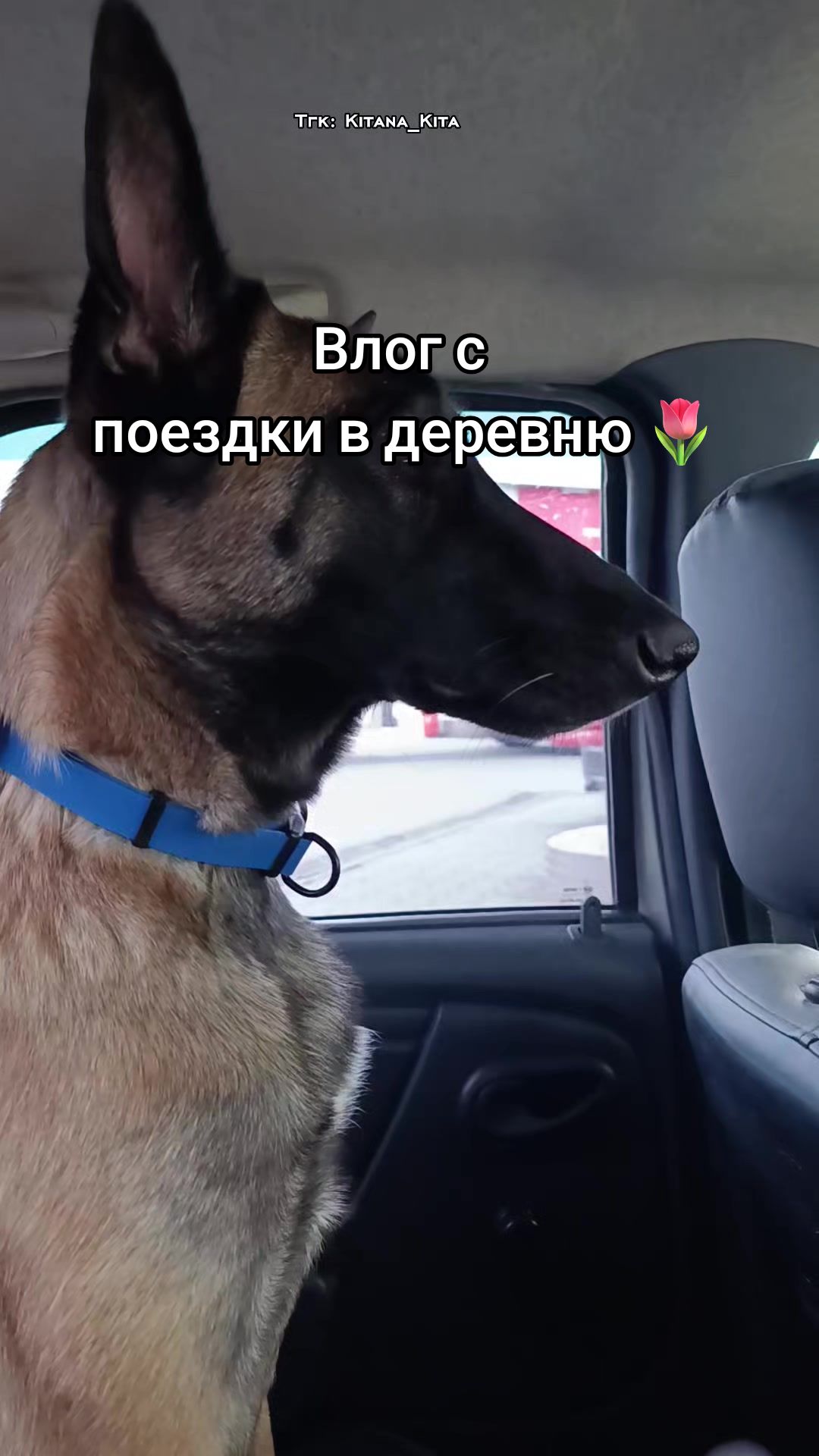 @⚡Кита from авито⚡