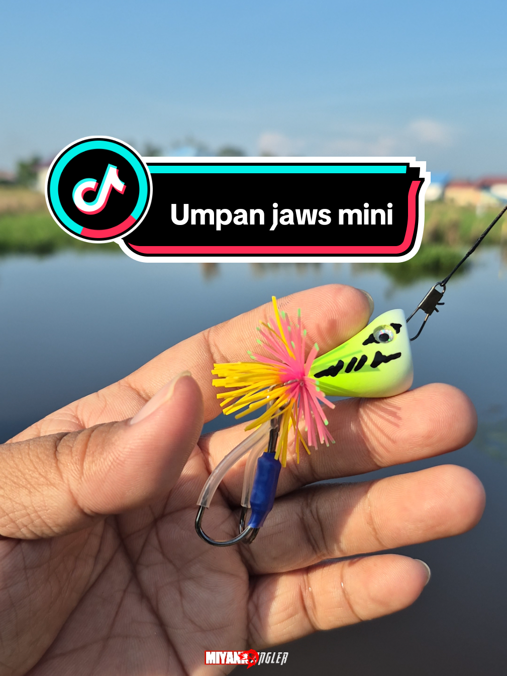 @Miyank Angler
