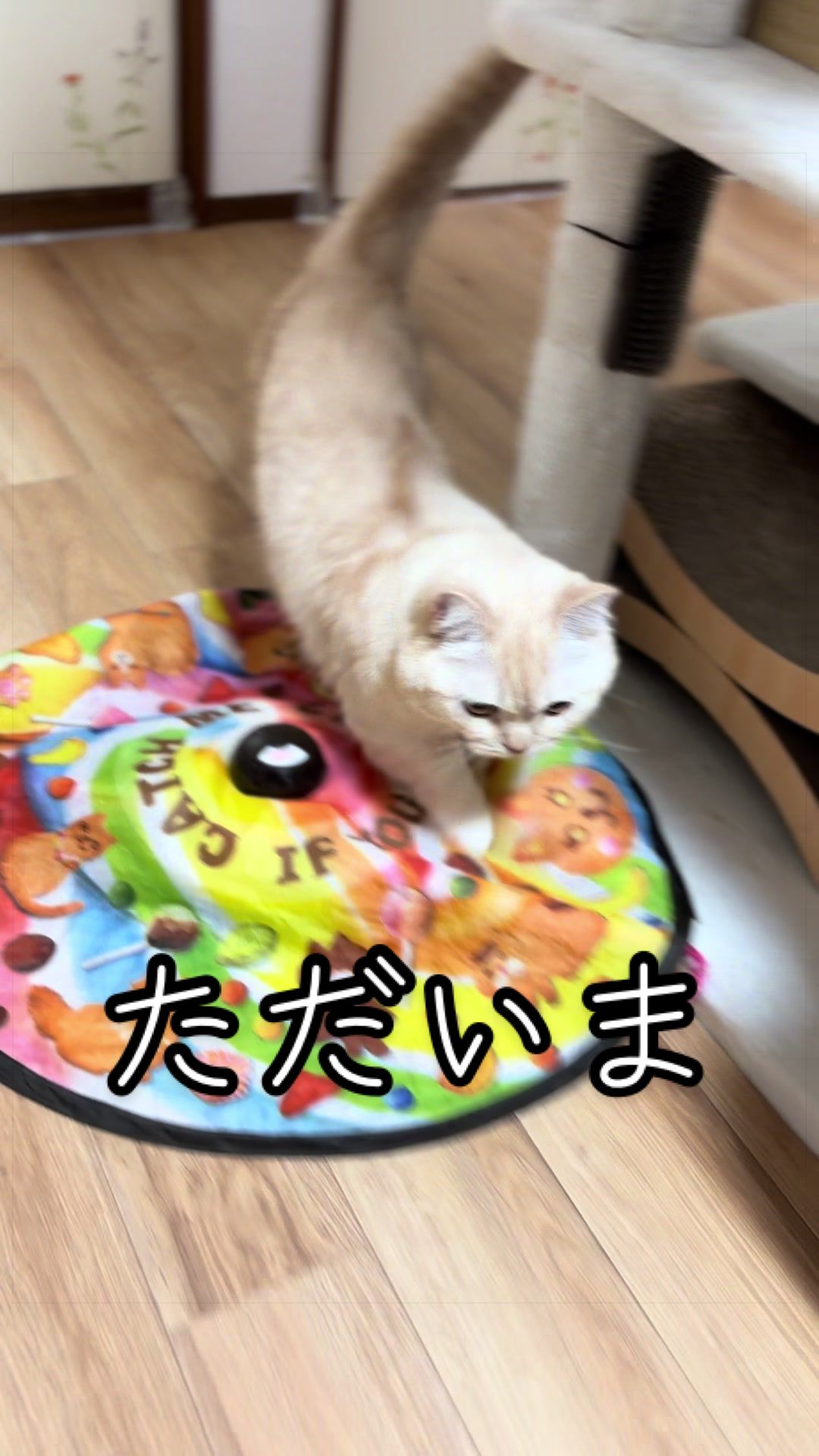 @縫くんと私